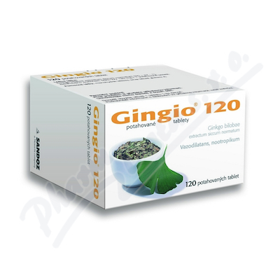Gingio 120mg—120 tablet