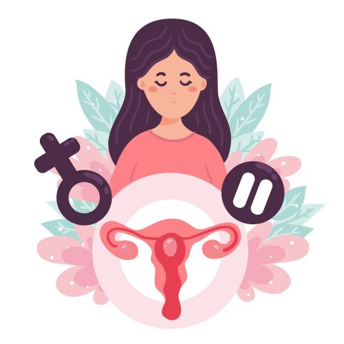 Menstruace a menopauza