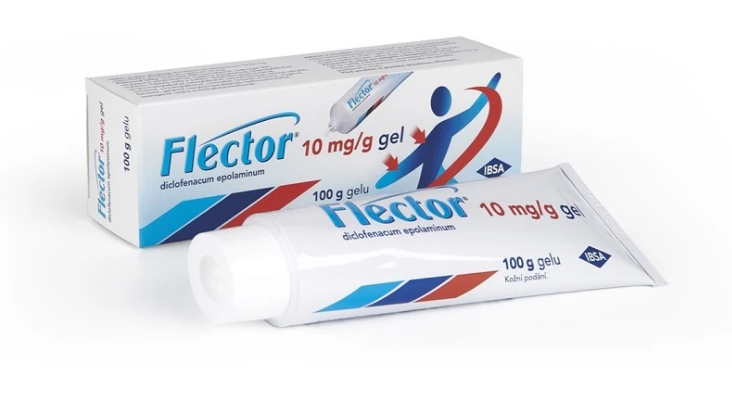 FLECTOR—10MG/G GEL 100G