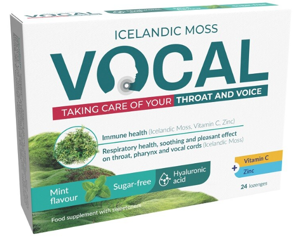 Vocal HA Pastilky bez cukru s příchutí Máty —24 ks