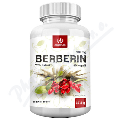 Allnature Berberin Extrakt 98% 500mg—60 kapslí
