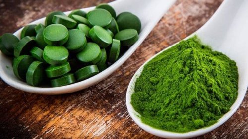 Chlorella