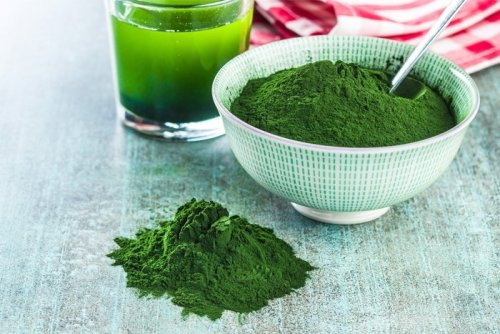 Chlorella