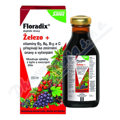 Salus Floradix Železo+—sirup 250ml