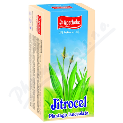 Apotheke Jitrocel čaj—nálevové sáčky 20x1,5 g