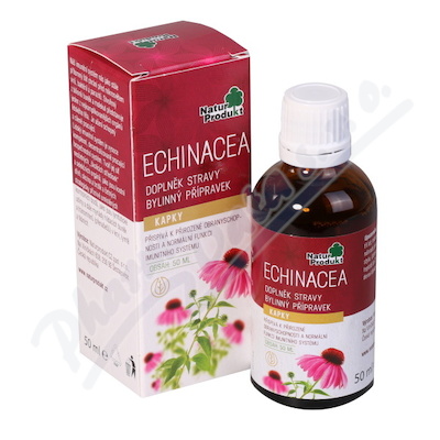 Echinacea kapky—50 ml