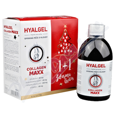 Hyalgel Collagen MAXX vánoční balení 2018 —2x 500 ml
