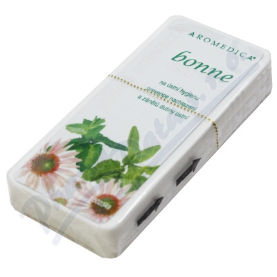 Bonne Santé Dobré zdraví - máta+echinacea—8g