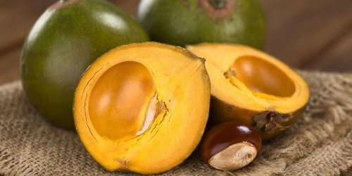 Lucuma