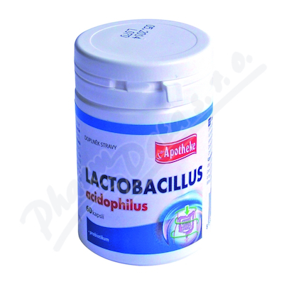 Apotheke Lactobacillus acidophilus—60 tablet