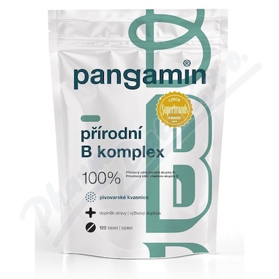 Pangamin přírodní B komplex—120 tablet