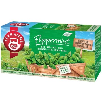 Teekanne Mátový čaj—20x1,5 g