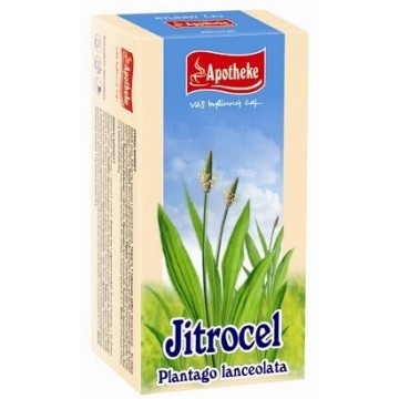 Apotheke Jitrocel čaj—20x1,5 g